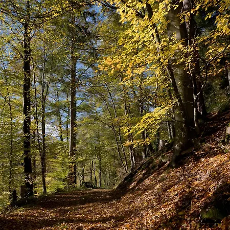 Haus Zur Bienenweide