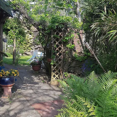 Haus Zur Bienenweide Schömberg