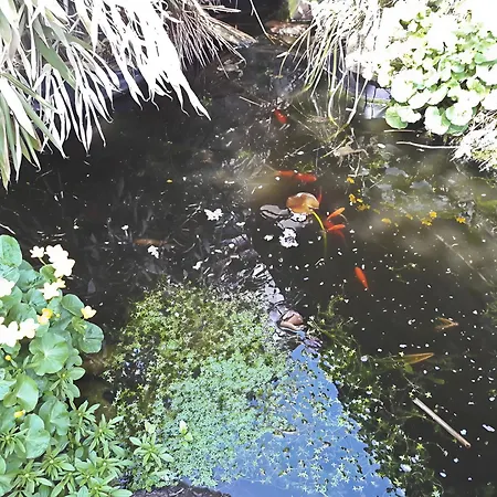 아파트 Haus Zur Bienenweide