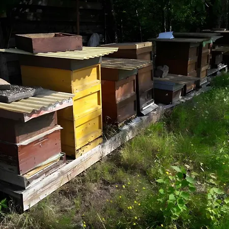 Lejlighed Haus Zur Bienenweide *